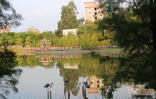 夕陽照在龔州湖上