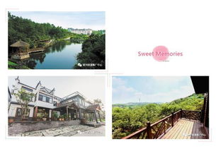 數(shù)說假期 當(dāng)端午 撞 上父親節(jié),這個(gè)小長假想不熱鬧都不行