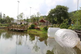 釣魚 看龜 摘水果 吃清蒸葡萄雞 這個(gè)秋天一定要去這里秋游