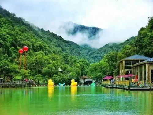 快看 博羅這些地方入選惠州市第二批鄉(xiāng)村旅游精品線路