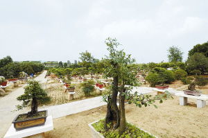 南陽日報多媒體數字報刊平臺,南陽日報多媒體數字報刊平臺,南陽,南陽日報,南陽網,南陽社區