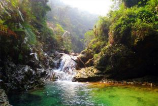 數據 2018中國森林旅游和康養超16億人次