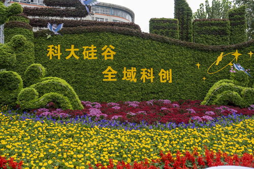 九龍?zhí)渡鷳B(tài)園與合肥150余個(gè)主題花展共繪生態(tài)園林城市新畫(huà)卷