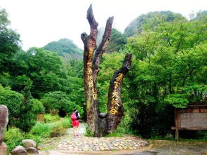 16周歲以下免票游世遺，668元泰寧雙動(dòng)車(chē)2日游 大金湖、寨下大峽谷、九龍?zhí)丁⑸袝?shū)第全覽