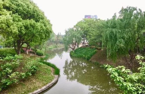 常熟奉賢手牽手，九龍?zhí)渡鷳B(tài)園繪就跨區(qū)域文旅新篇章