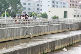 2016市民環(huán)保開(kāi)放日 走進(jìn)污水處理廠與濕地，共筑綠色東部生態(tài)園——九龍?zhí)渡鷳B(tài)園活動(dòng)回顧